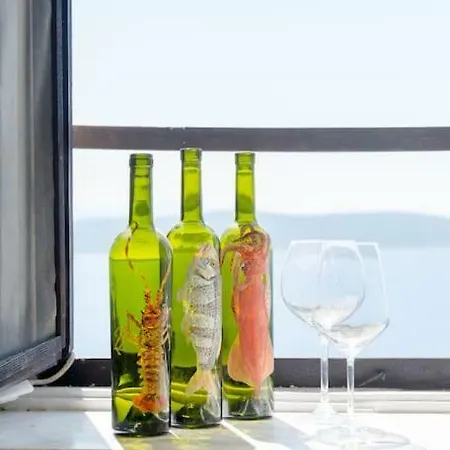 Luxury With Terrace Ladovina