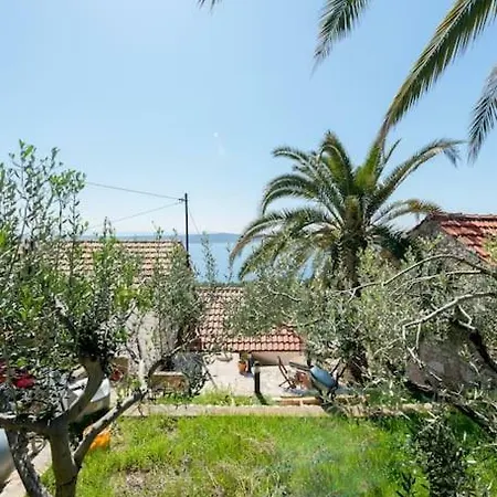 Luxury With Terrace Ladovina
